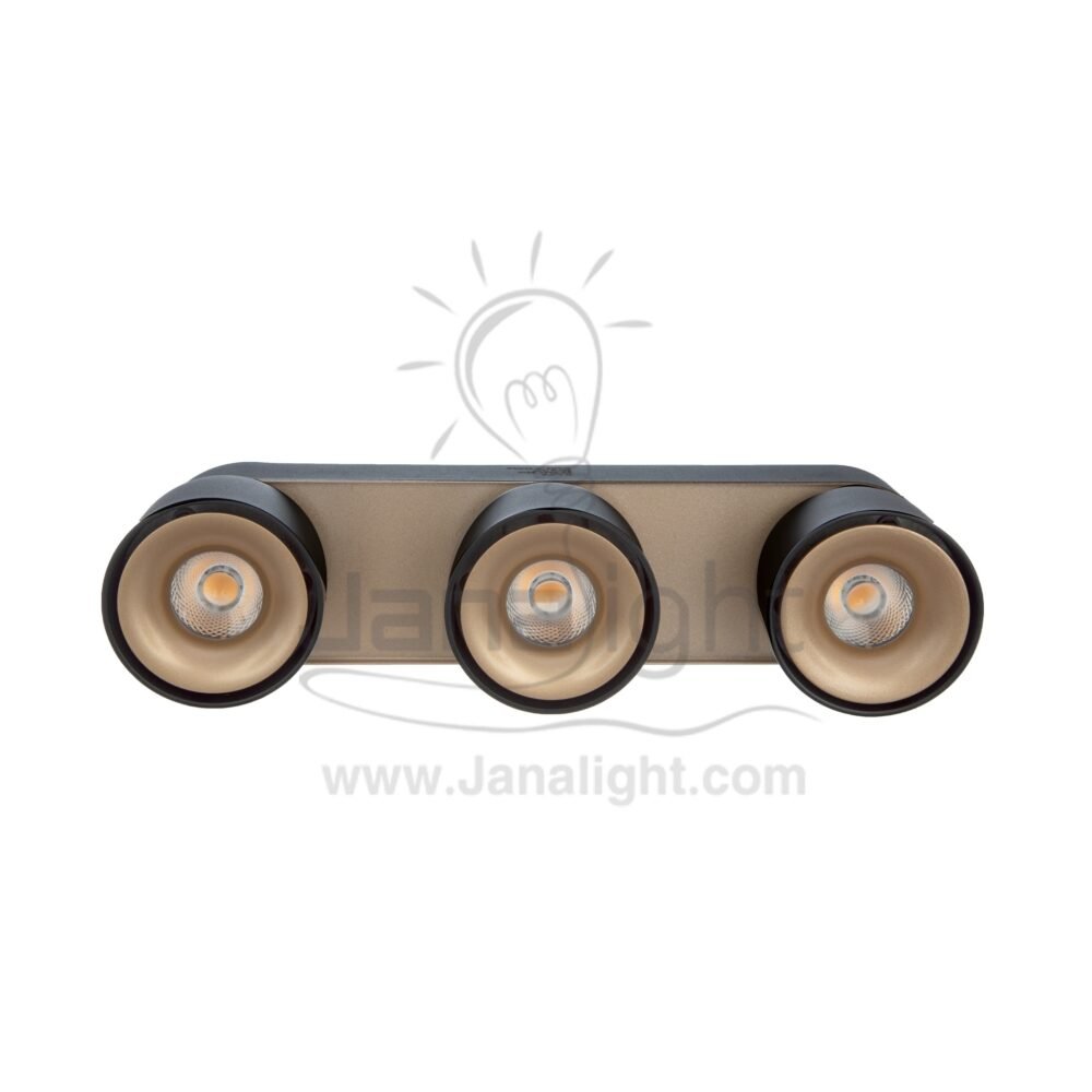 سبوت لايت سلندر36 وات ثلاثي اسود وش شمباني وورم مدور متحرك AC85 3R cylinder downlight Triple frame black- Champagne worm 36w